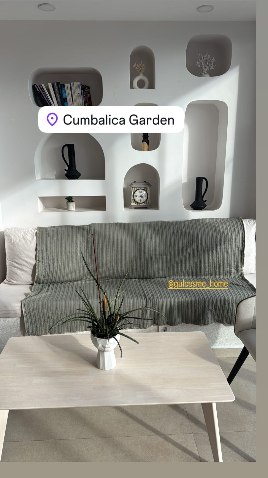 Antropoloji düz renk Tv battaniyesi çoban dikişşi